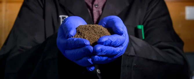 Dirt in hands with blue gloves on