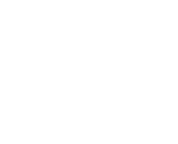 University of South Australia White Logo