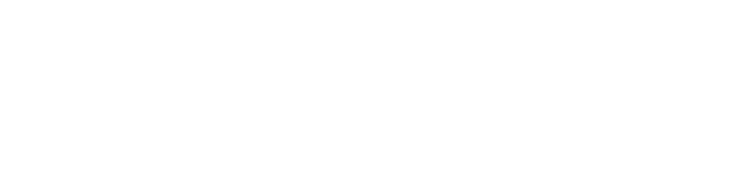 Adelaide University Logo in white