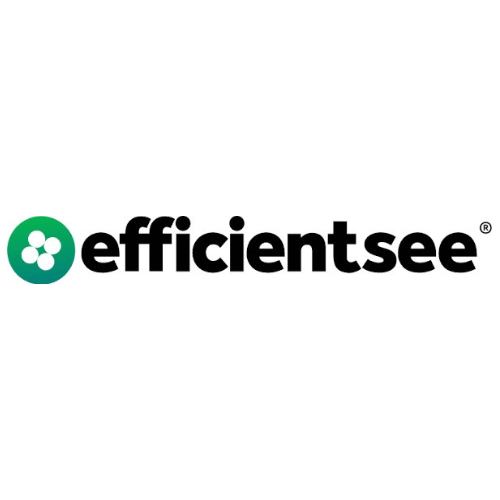 EfficientSee logo